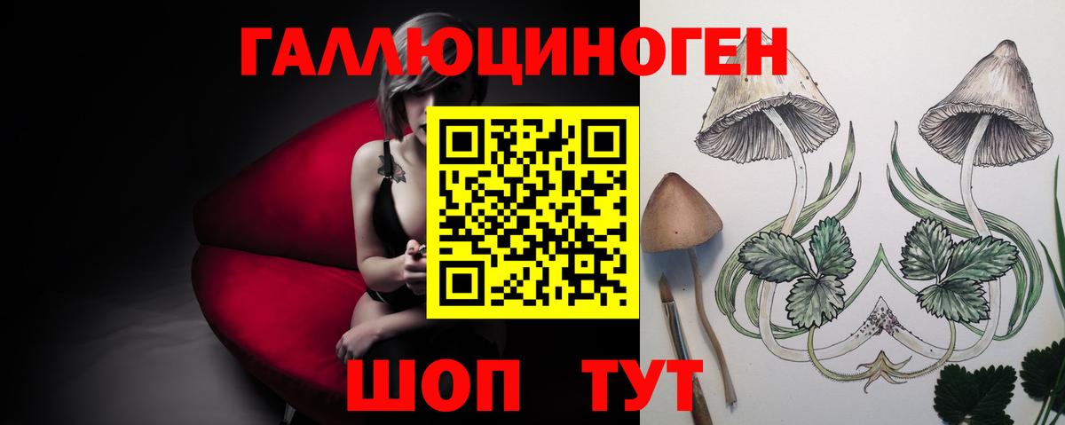 MDMA Кимовск